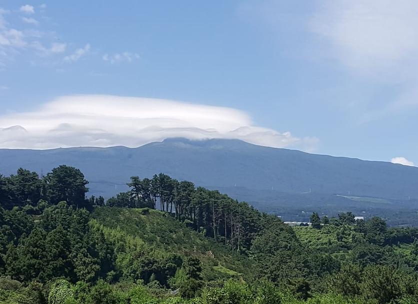 屋外の景色 写真