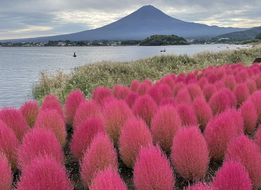 その他 写真