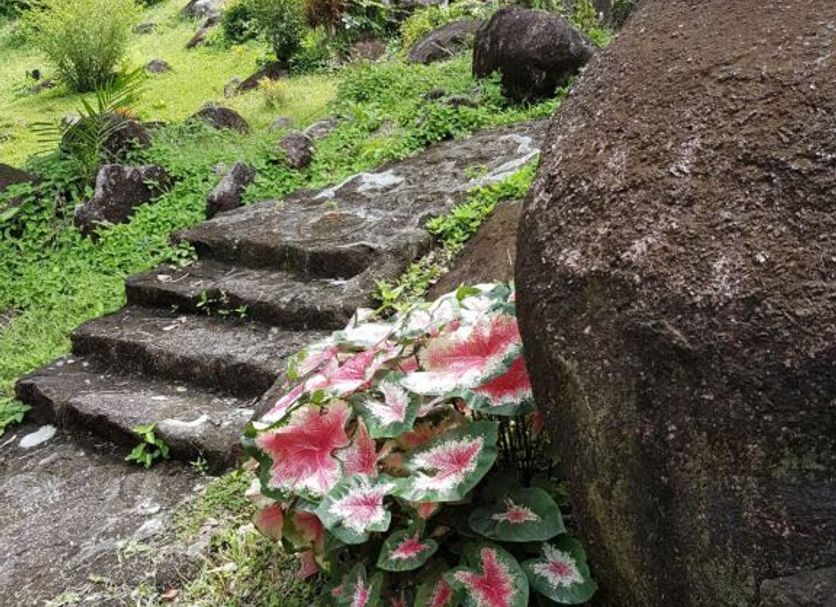 屋外の景色 写真