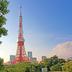 屋外の景色