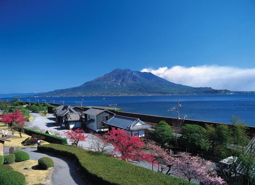 屋外の景色 写真