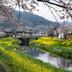 屋外の景色