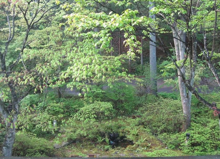 屋外の景色 写真