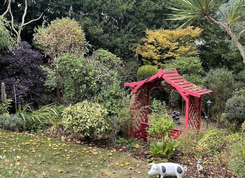 屋外の景色 写真
