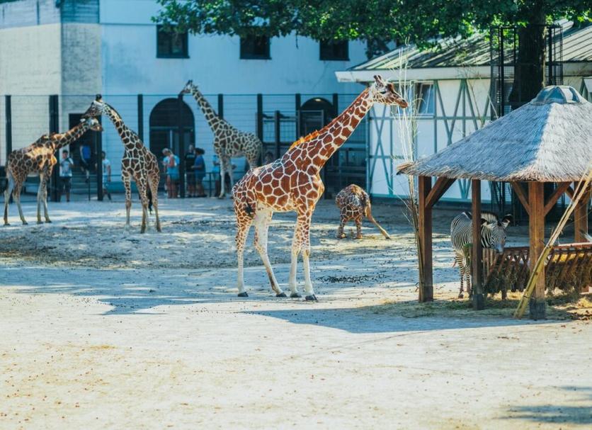 その他 写真
