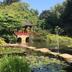 屋外の景色