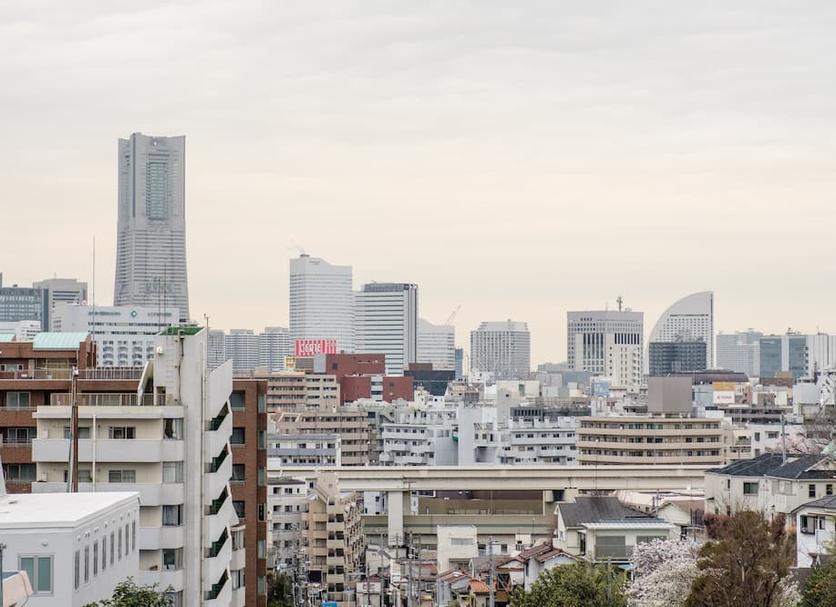 屋外の景色 写真