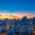 屋外の景色