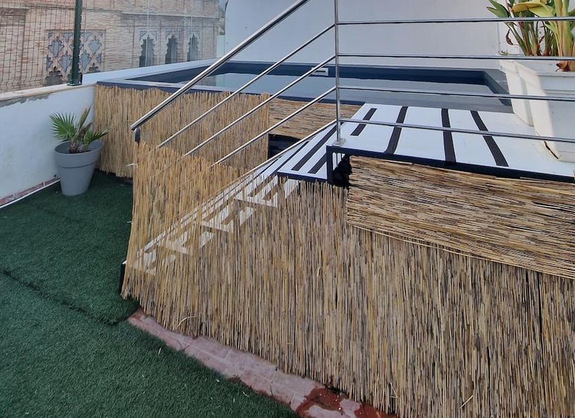 屋外の景色 写真