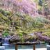 屋外の景色