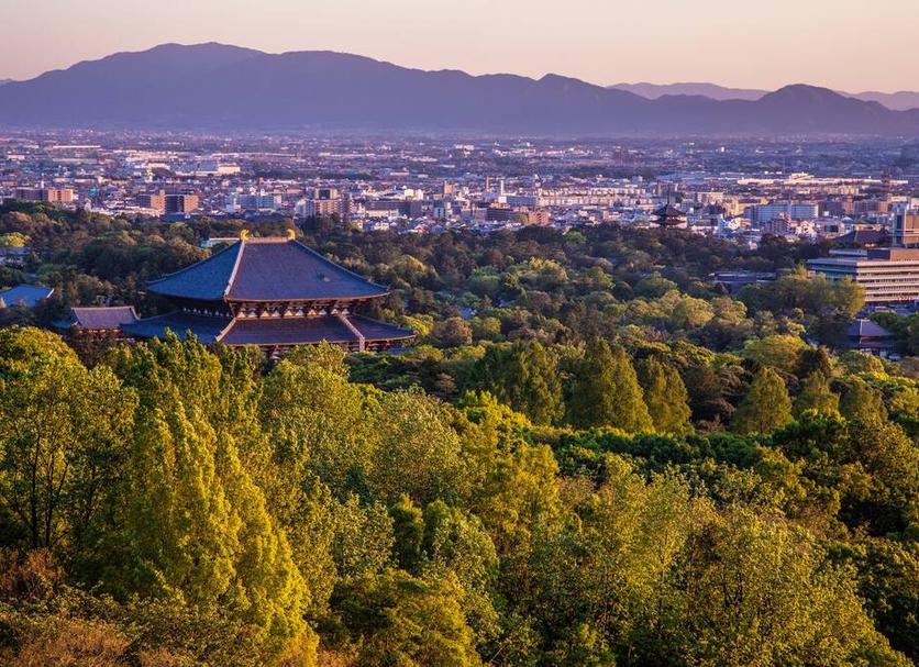 屋外の景色 写真