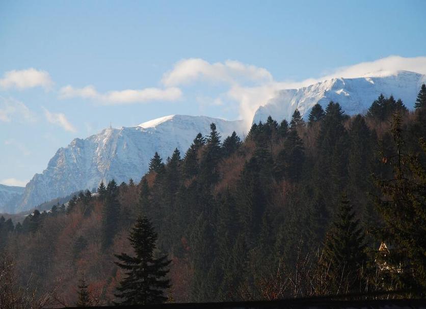 屋外の景色 写真