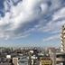 屋外の景色