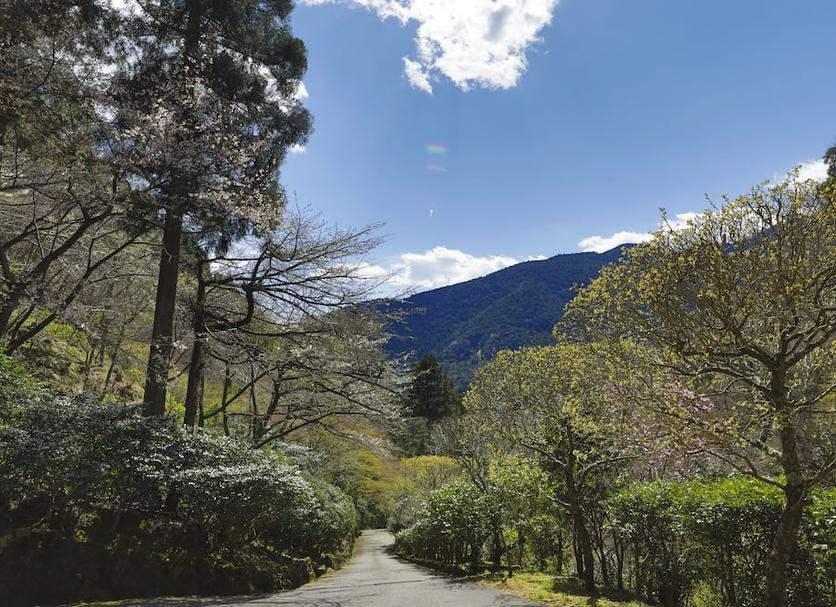 屋外の景色 写真