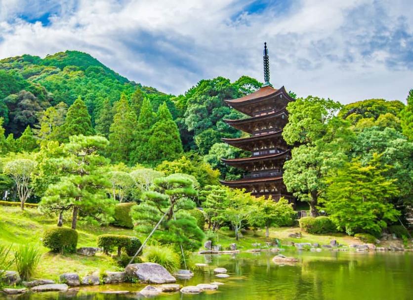 屋外の景色 写真