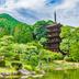 屋外の景色