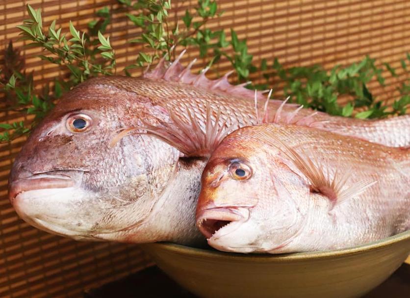 その他 写真