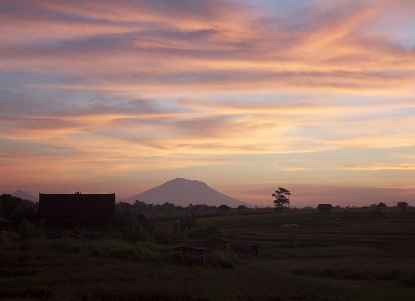 屋外の景色 写真