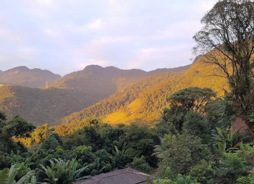 屋外の景色 写真