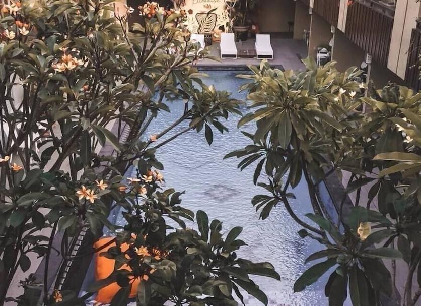 屋外の景色 写真
