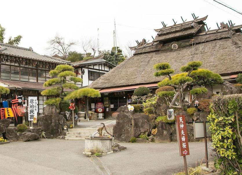 屋外の景色 写真