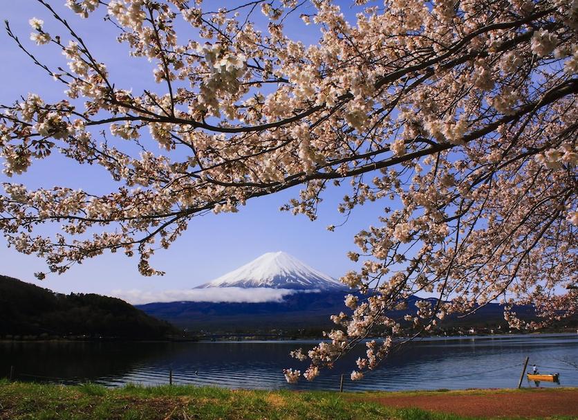 屋外の景色 写真