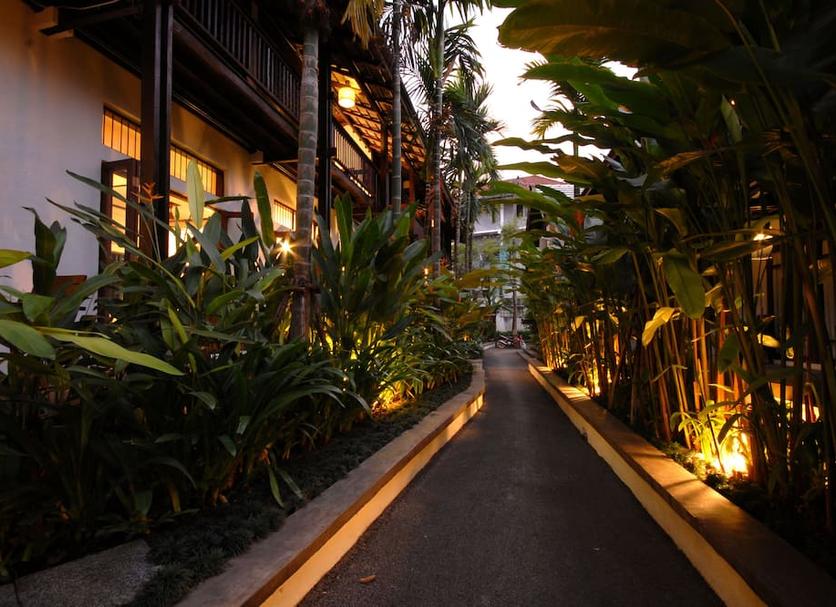 屋外の景色 写真
