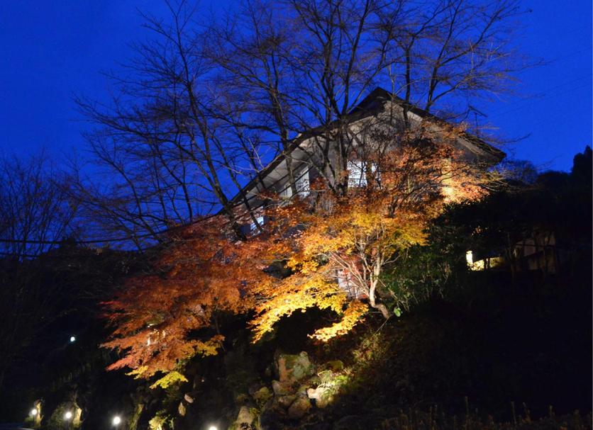 屋外の景色 写真