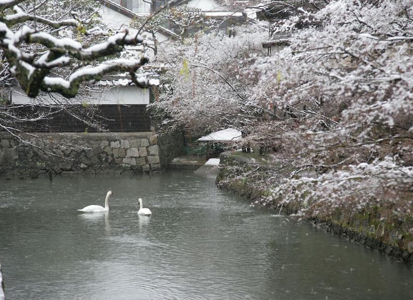 屋外の景色 写真
