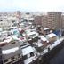 屋外の景色