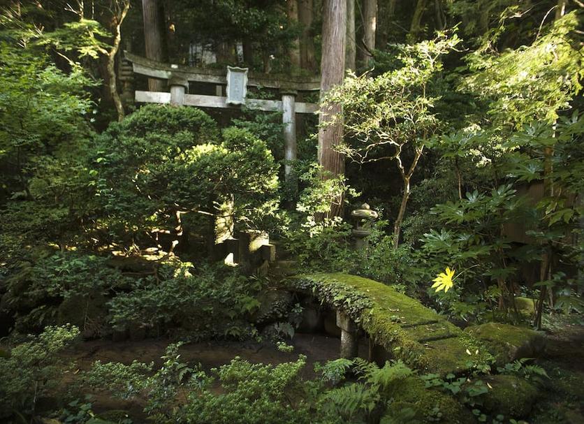 屋外の景色 写真