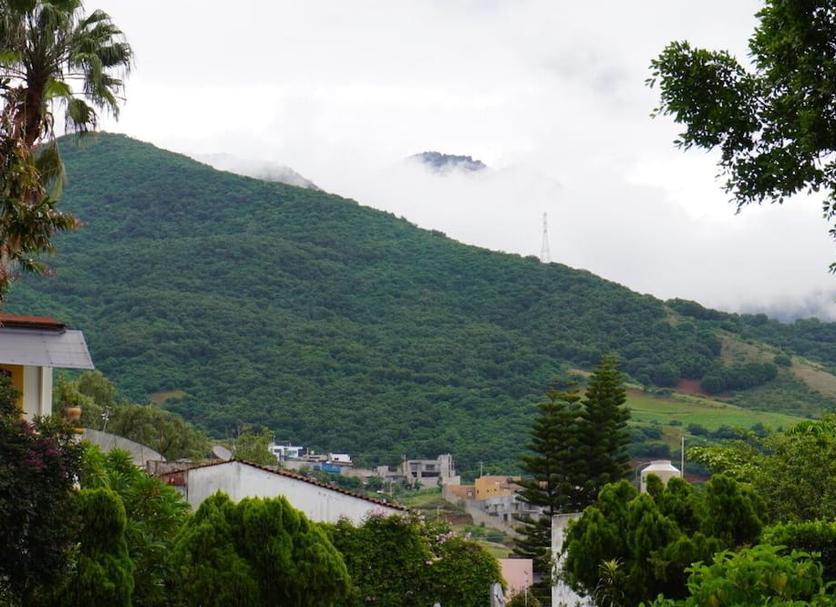屋外の景色 写真