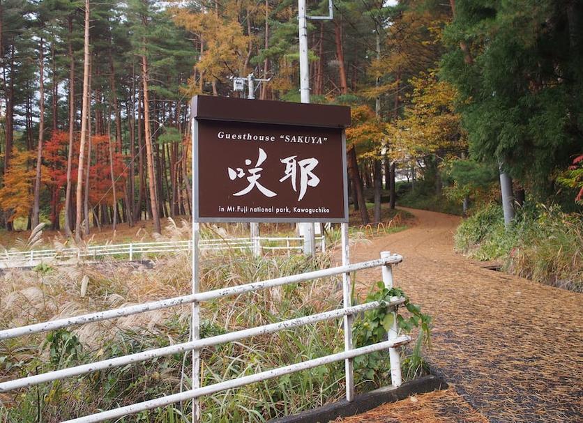 屋外の景色 写真