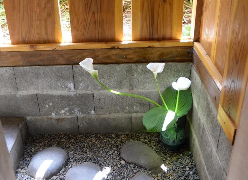 その他 写真