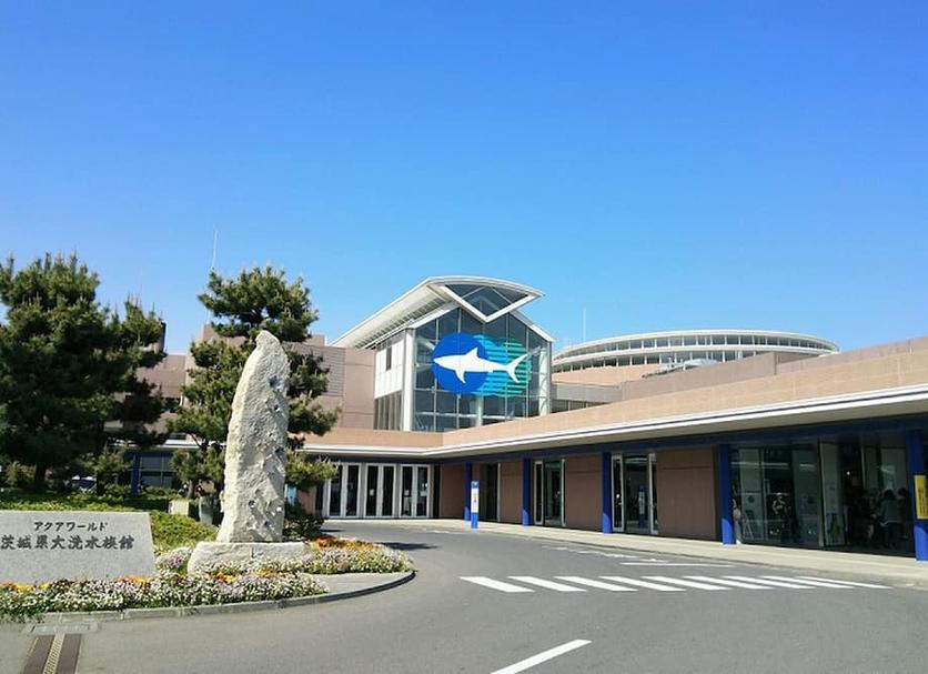 建物 写真