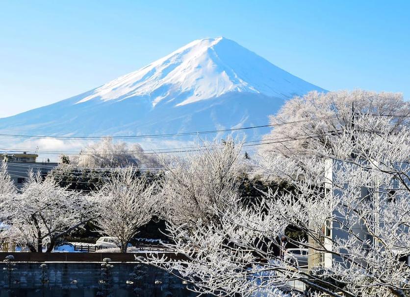 屋外の景色 写真