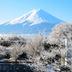 屋外の景色