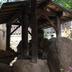 屋外の景色