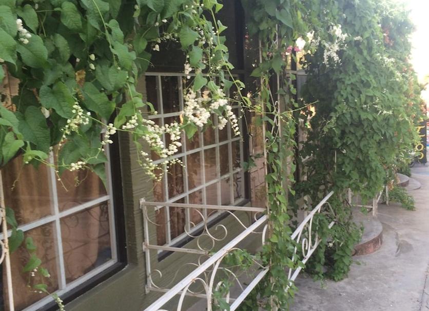 屋外の景色 写真