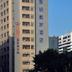 屋外の景色