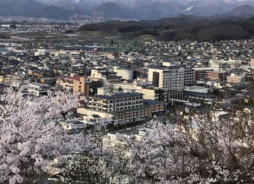 屋外の景色 写真