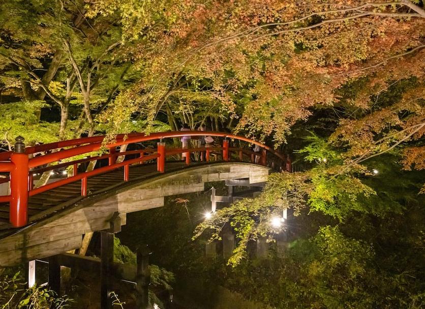 屋外の景色 写真