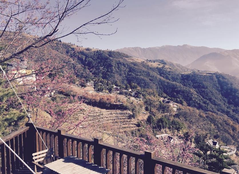屋外の景色 写真