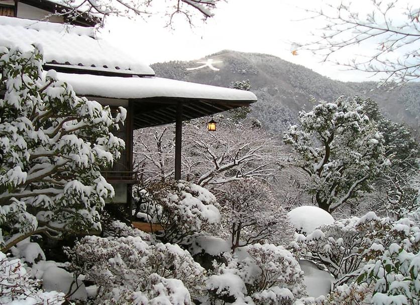 屋外の景色 写真
