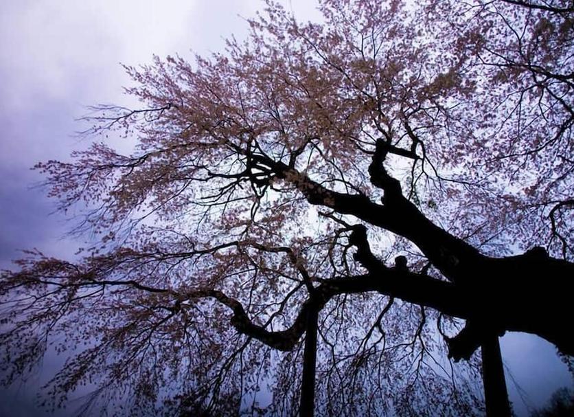 屋外の景色 写真