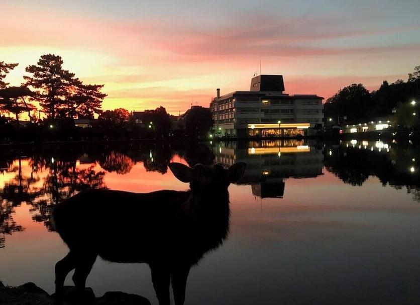その他 写真