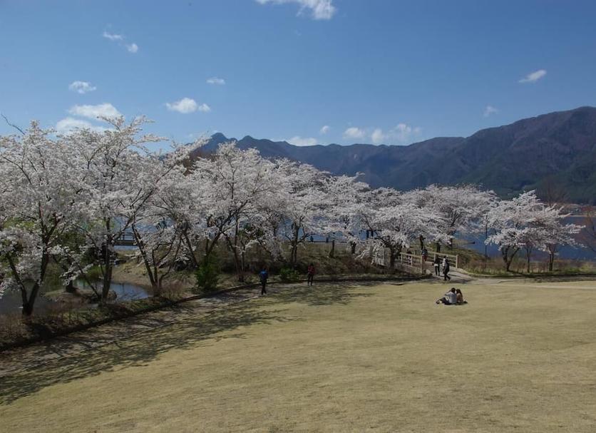 その他 写真