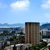 屋外の景色