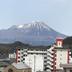 屋外の景色