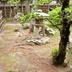 屋外の景色